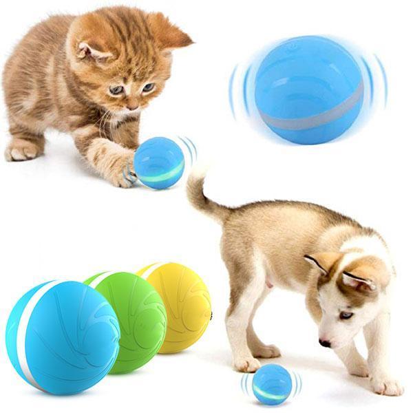 1pc Balle Rire Interactive Animaux Compagnie Jouet - Temu France