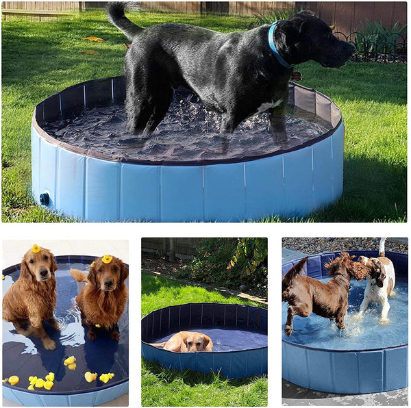 Piscine Pliable pour chien - ODOMESTIC