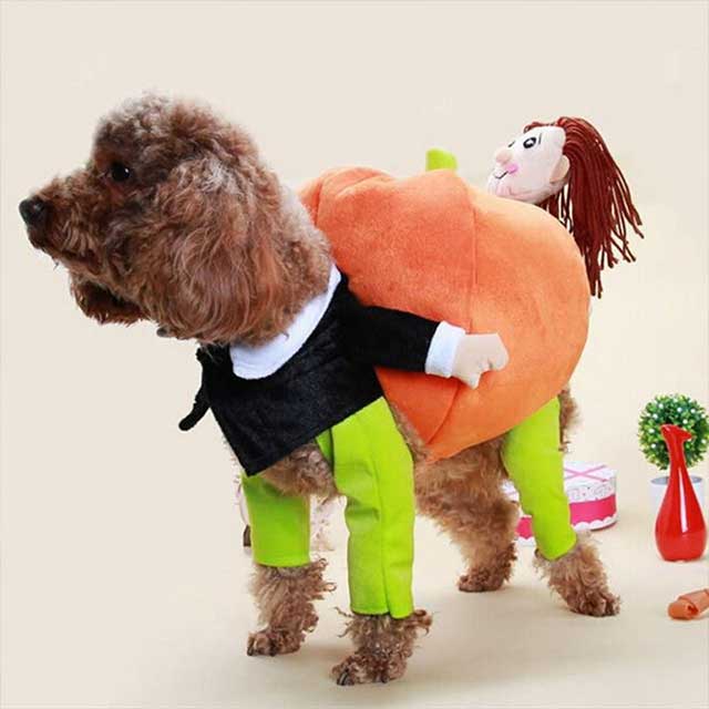 Gadgets d'Eve animaux de compagnie DOGYSM™ : Déguisement d'Halloween pour chien