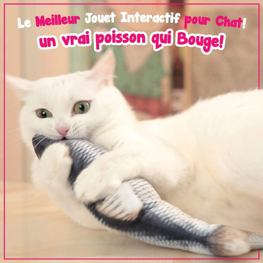 Jouets Baguette Chat Jouets Interactifs Chat Poisson À - Temu France