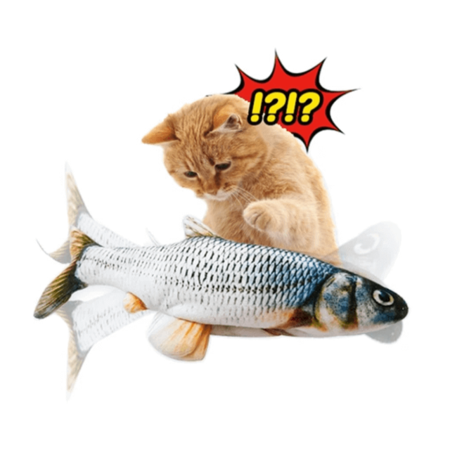 Jouet poisson pour chat (Poisson interactif pour chat) - PetsPro