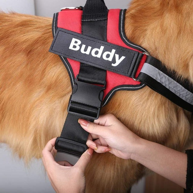 Gadgets d'Eve NOTUG™ : Harnais Chien Anti-Traction