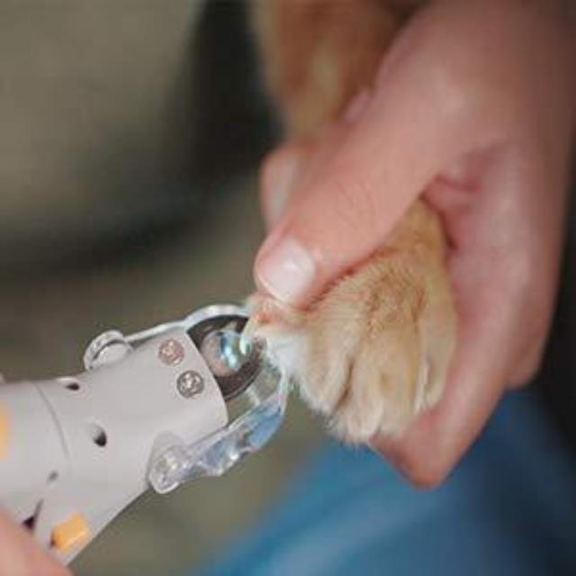 Gadgets d'Eve PETNAIL™ : Coupe-griffes professionnel pour les animaux de compagnie