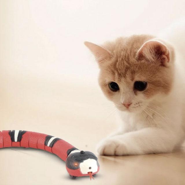 Gadgets d'Eve animaux de compagnie SNOY™ : Jouet Serpent Interactif pour Animaux de Compagnie