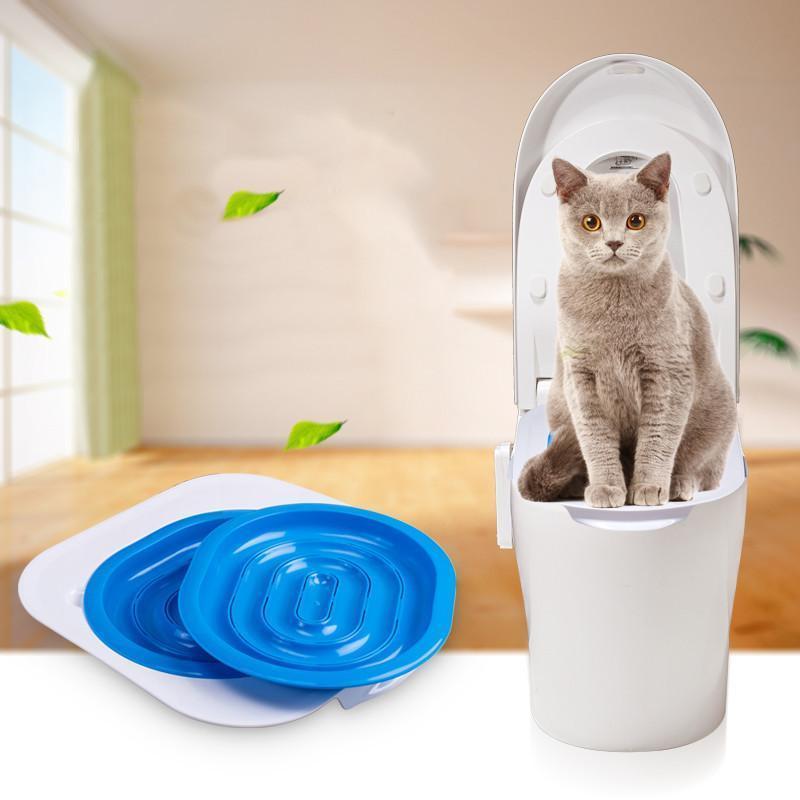 Gadgets d'Eve bricolage Un système révolutionnaire d'entraînement des chats pour faire les toilettes